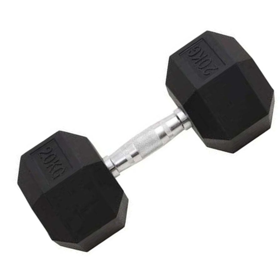 Cast Iron Dumbbell 20kg Strength Training