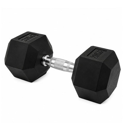 Cast Iron Dumbbell 20kg Strength Training