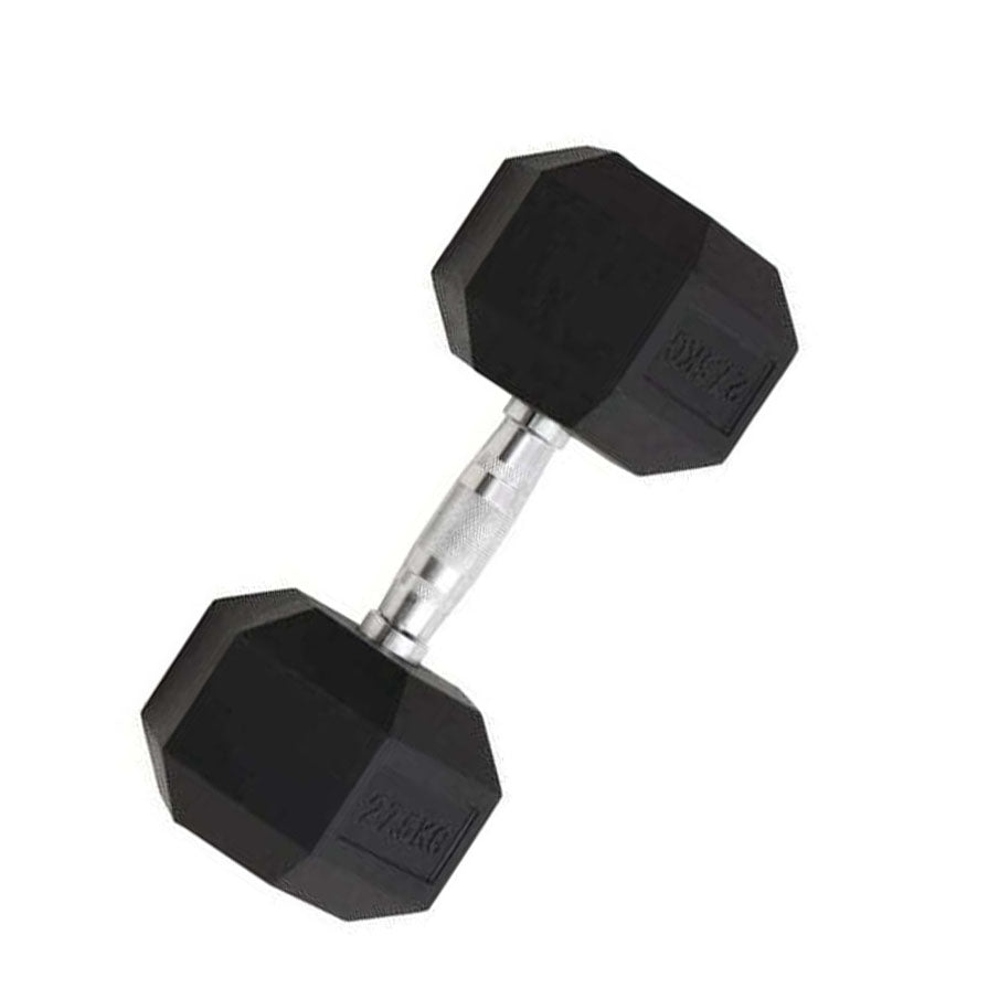 Cast Iron Dumbbell 27.5kg Strength