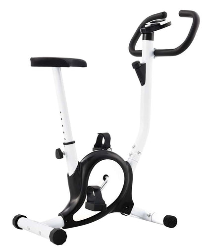 Exercise Cycle with Adjustable Belt Resistance