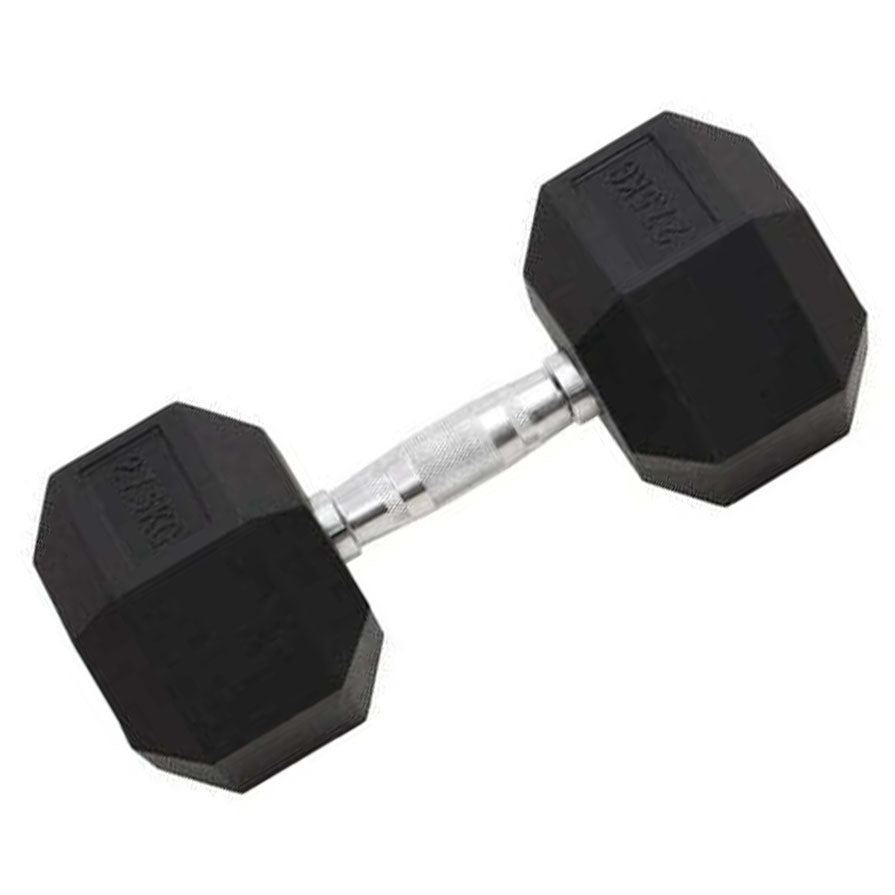 Cast Iron Dumbbell 27.5kg Strength