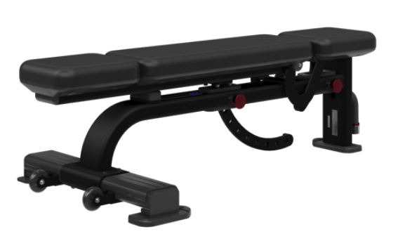 Nautilus Inspiration Multi Adjustable Bench